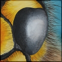 Augenblick einer Wespe; Acryl auf Leinwand;
30 x 30 cm
